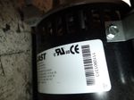Fasco Pump