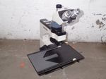 Reichertao Scientific Instruments Microscope