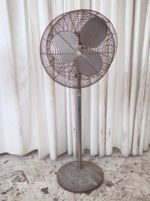 Dayton Electric Pedestal Fan