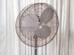 Dayton Electric Pedestal Fan