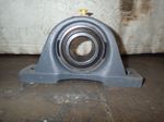  Pillow Block Bearing