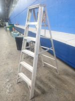 Werner Aluminum Ladder
