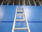  Extandable Aluminum Ladder