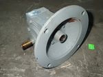 Morse  Gear Reducer