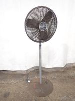 Tpi Electric Pedastal Fan