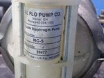 All Flo Pumps Diaphragm Pump