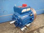 Wanner Engineering Hydracell Pump