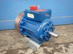Wanner Engineering Hydracell Pump