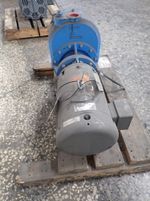 Itt Marlow Pumps Pump