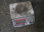 Ohaus Scale