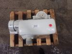 Leyboldheraues Vacuum Pump