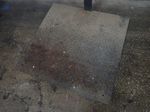 Indiana Scale Scale