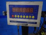 Indiana Scale Scale