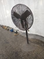 Dayton Pedetal Fan