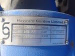 Hayward Gordon Pump