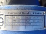 Hayward Gordon Pump