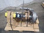 Proceco Proceco Y0251301 Pump