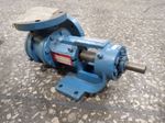Viking Pump  Pump