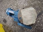 Viking Pump  Pump