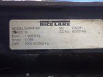 Rice Lake Scale