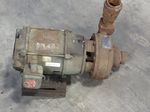 Peerless Pumps Pump