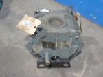 Roots Rotary Lobe Blower