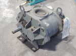 Roots Rotary Lobe Blower
