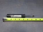 Ace Industrial Gas Spring Lot