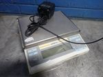 Sartorius Scale
