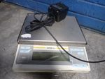 Sartorius Scale
