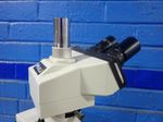 Meiji Microscope
