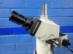 Meiji Microscope