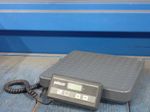 Pelouze Digital Scale