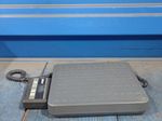 Pelouze Digital Scale
