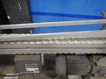  Motorized Conveyor