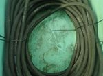 Speedaire Hose