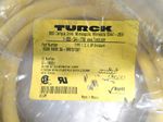Turck Cable W Connector