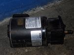 Bison Gearmotor