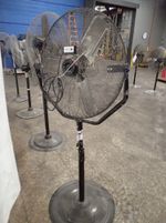  Pedestal Fan