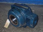 Rex Pillow Block Bearing