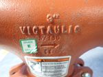 Victaulic  Strainer