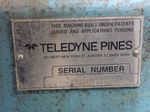 Pines Pines Bender
