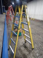 Green Bull Aluminum  Fiberglass Ladder