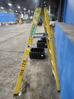 Green Bull Aluminum  Fiberglass Ladder