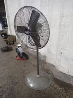 Global Pedestal Fan