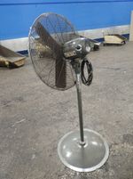 Global Pedestal Fan