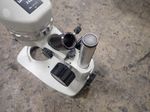 Bds Tech Microscope