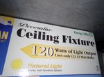 Michigan Avenue Ceiling Light Fixture