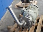 Fristam Pumps Impeller Pump