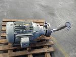 Fristam Pumps Impeller Pump